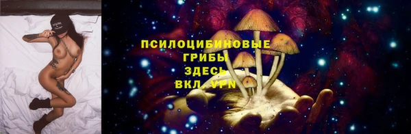 a pvp Алексин