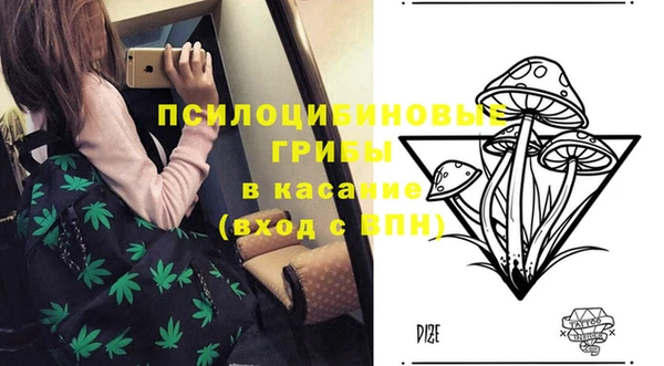 ECSTASY Алексеевка