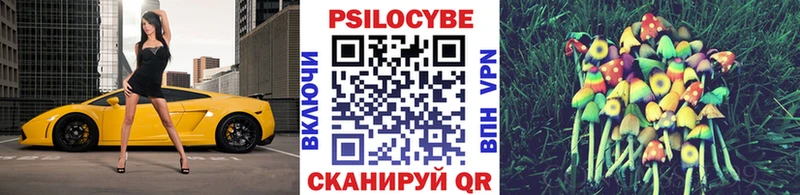 Псилоцибиновые грибы Cubensis хочу наркоту KRAKEN ONION Сатка